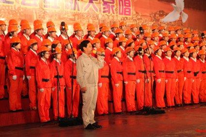 可爱小猫向上跳