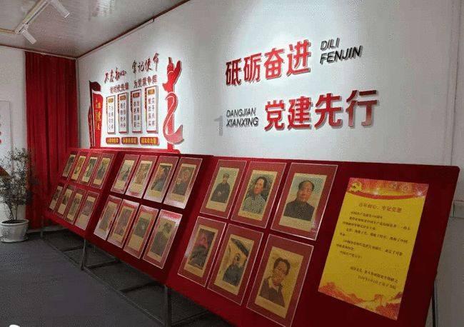 饥饿的松鼠救援
